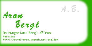 aron bergl business card